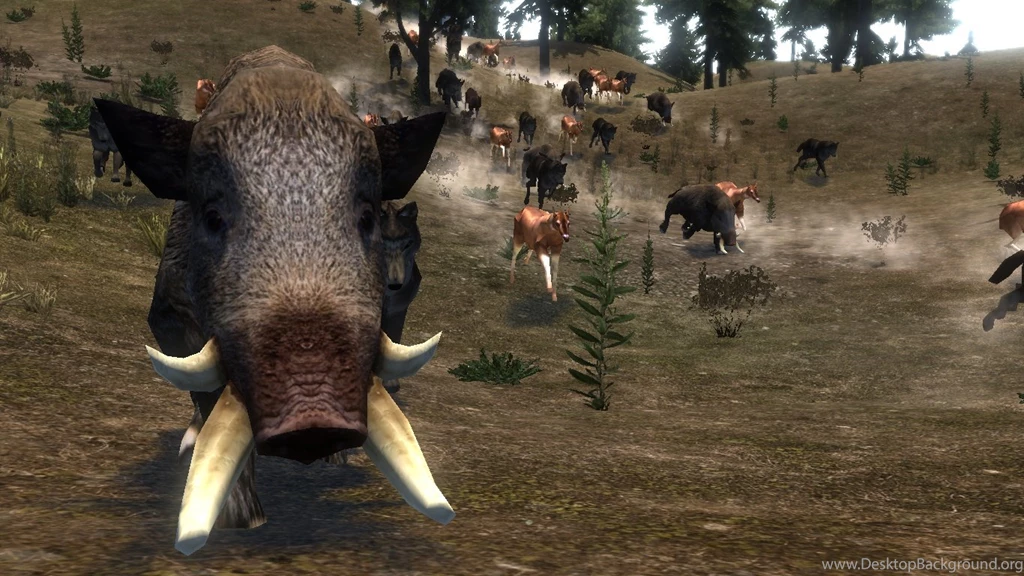 Savage Call Image Lands Of Acrylia Mod For Mount & Blade ...