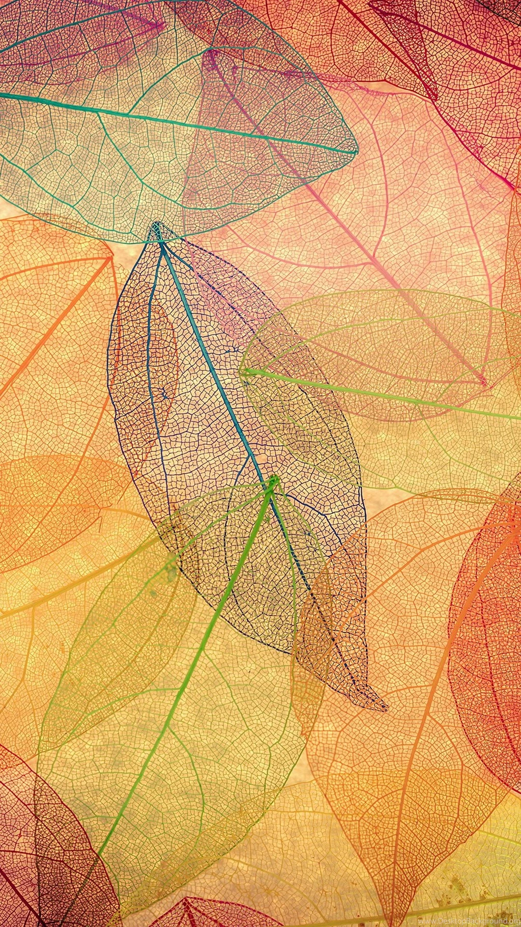 Rainbow Color Leaf Art Fall Nature Pattern iPhone 6 Wallpapers ...