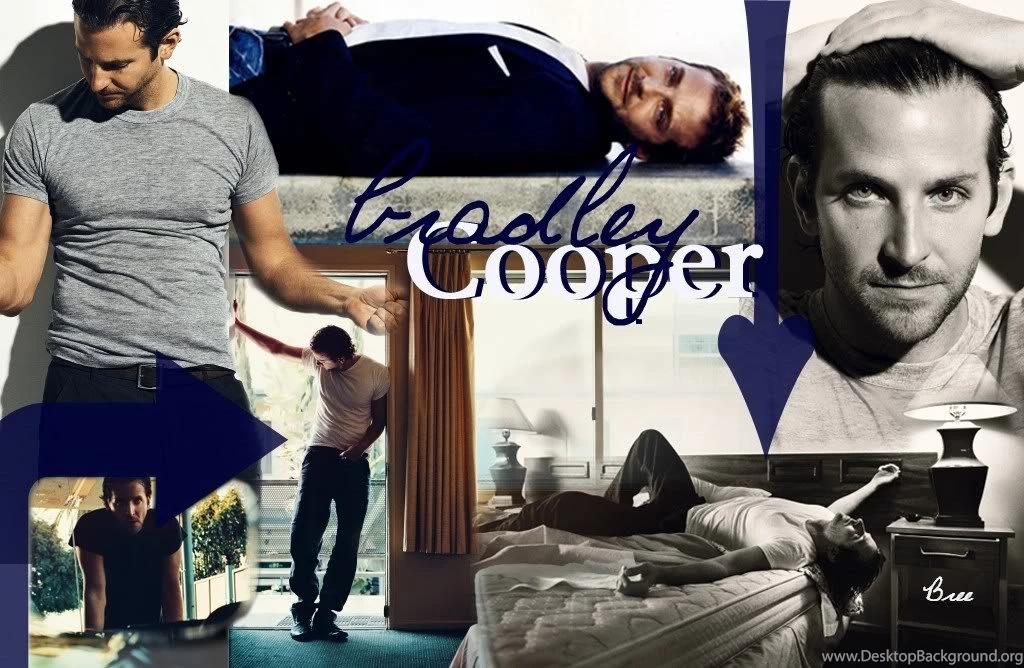 Bradley Cooper Wallpapers Pictures, Images & Photos