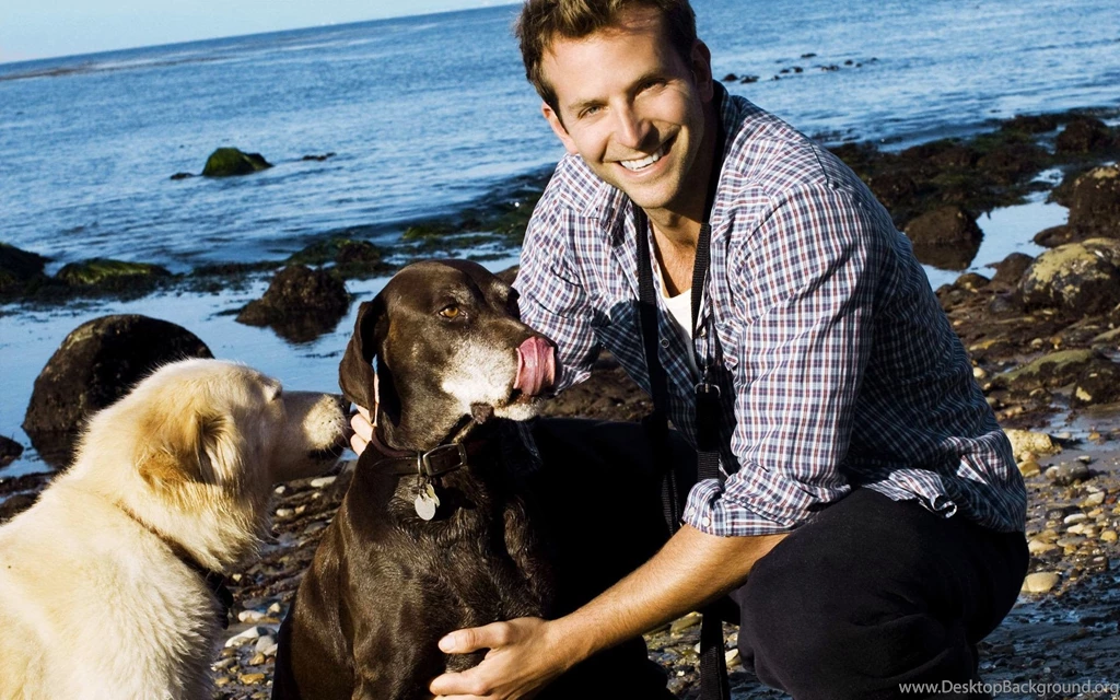 Oscar Nominee Bradley Cooper To Voice A Talking Dog