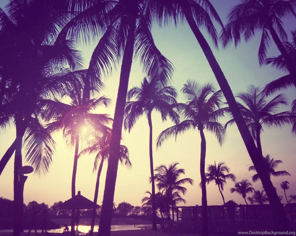 Pretty Summer Backgrounds Wallpapers Cave