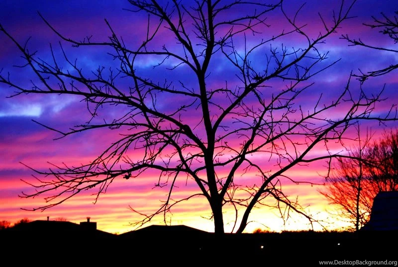 Wallpapers For Computer32 Photos Of Free Screensavers And Wallpapers ...