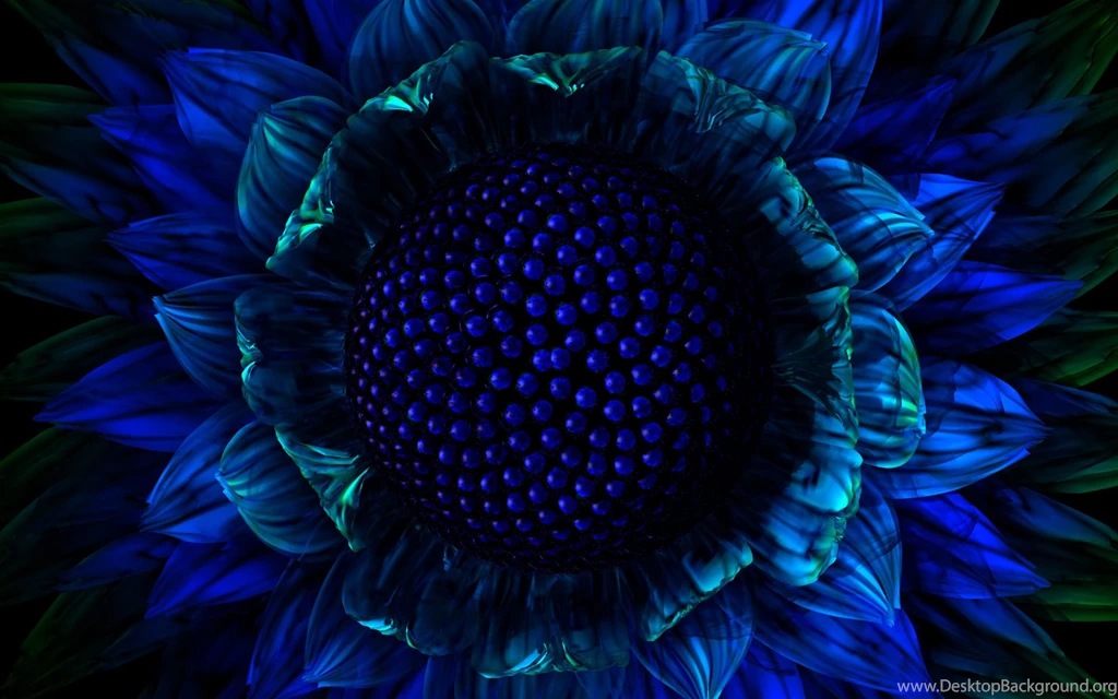 3D Flower Images   All Wallpapers New