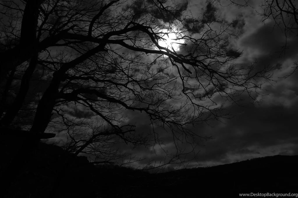 Dark Night By Rad Wulf On DeviantArt