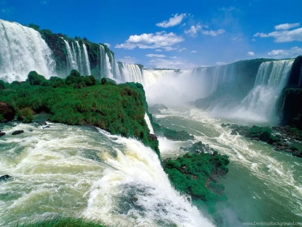 Wallpaper_animal_NC4