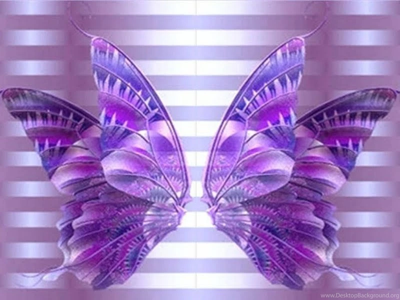 Butterfly Kisses Wallpapers