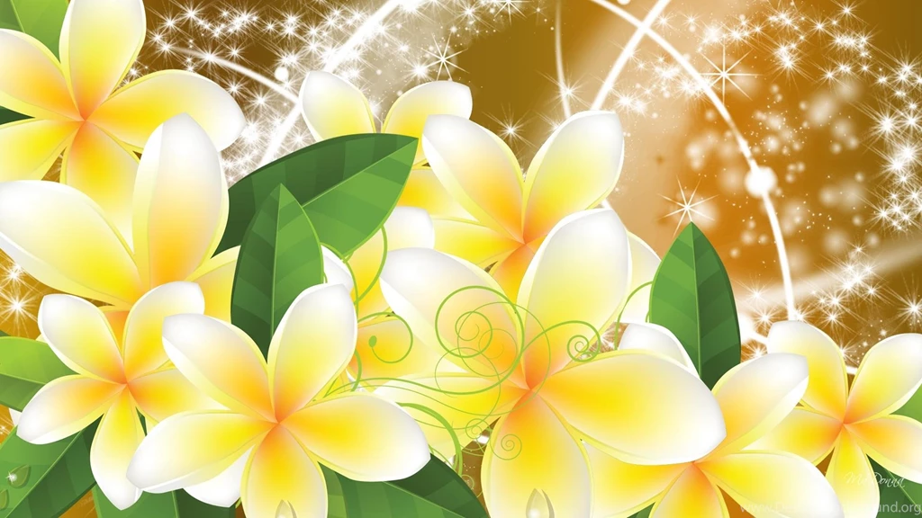 Frangipani Wallpapers >> Backgrounds With Quality HD