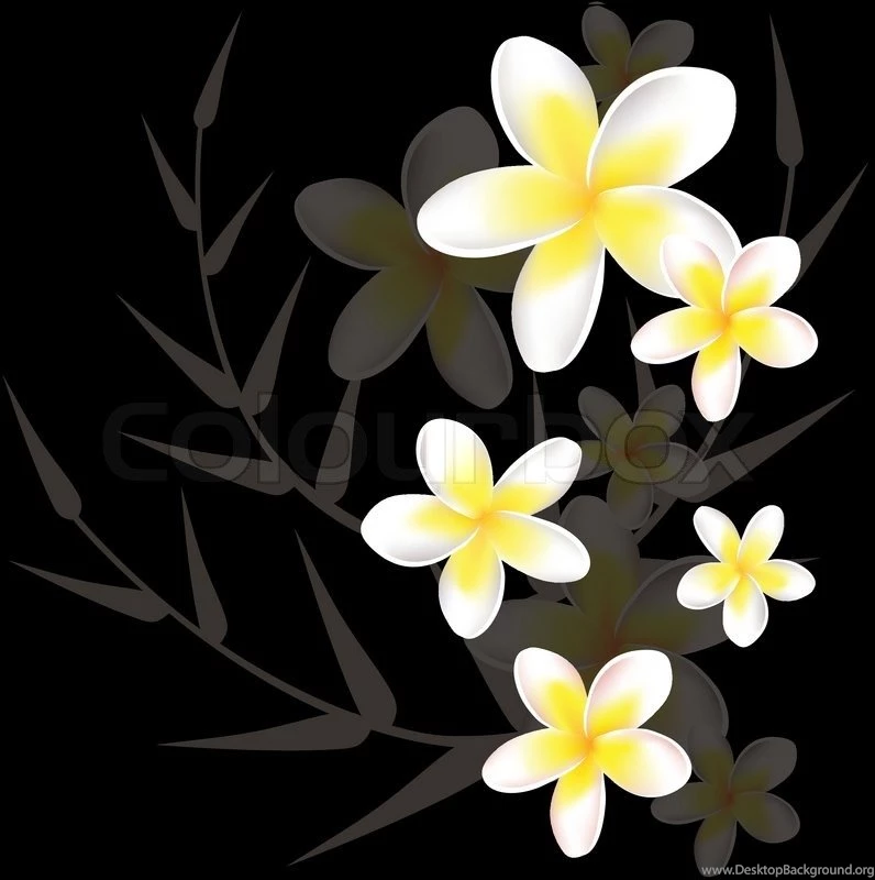 Vector Abstract Floral Backgrounds With Frangipani Stock Vector