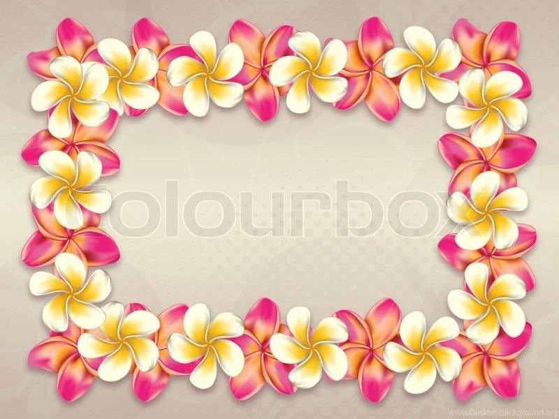 Plumeria, Frangipani Flowers Frame On Abstract Background.