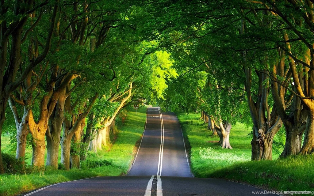 Free Wallpapers   Free Nature Wallpapers   Beautiful Natural 4 ...