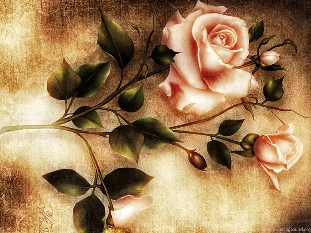 Flowers Wallpapers HD Wallpapers 2002