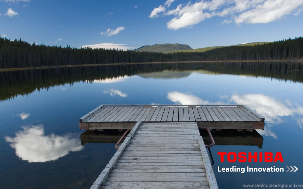 Toshiba Widescreen TV (22BL702B) Scored 81   Bugscore.com