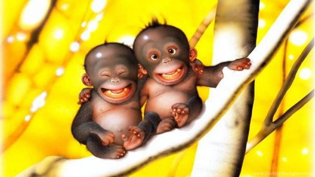 Funny Wallpapers Widescreen Resolution 6FJ WallPey