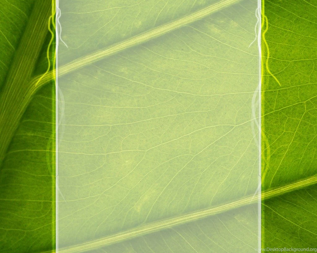 Index Of /wp content/uploads/2010/08