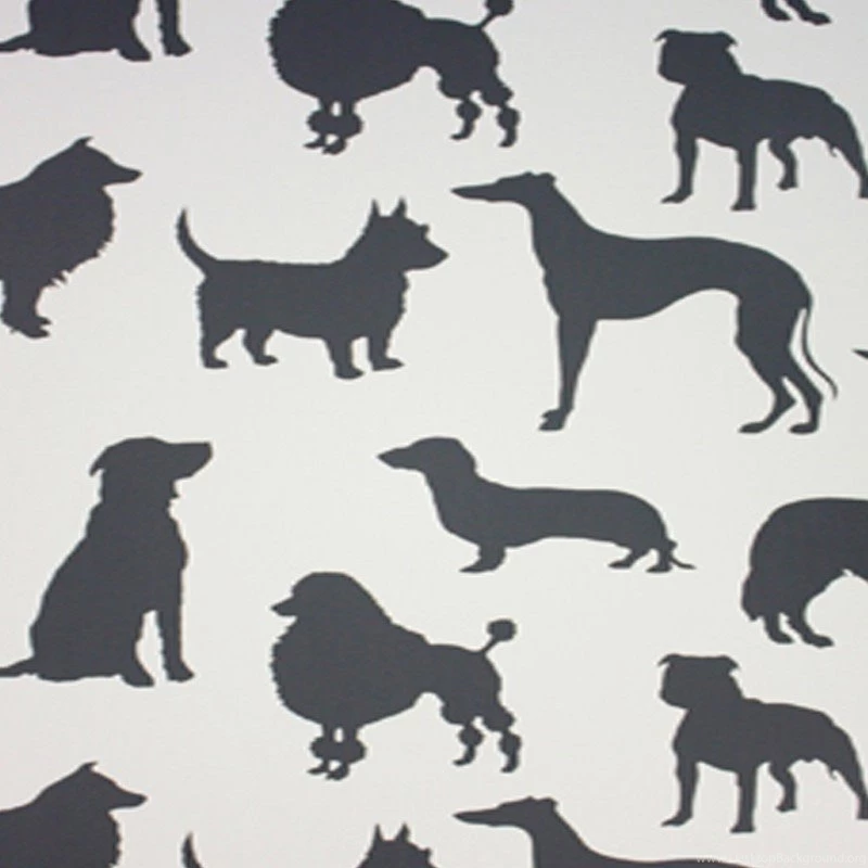 Osborne And Little Grand Tour Best In Show Wallpaper: Designer ...