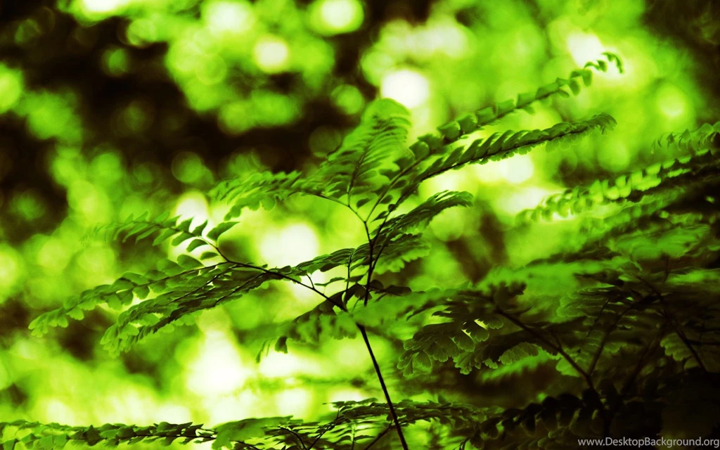 Nature Wallpapers Widescreen 182309