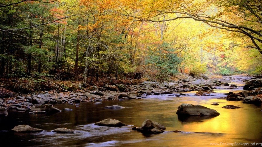 River Beautiful Pics Widescreen Nature Hd Wallpapers Desktop ...