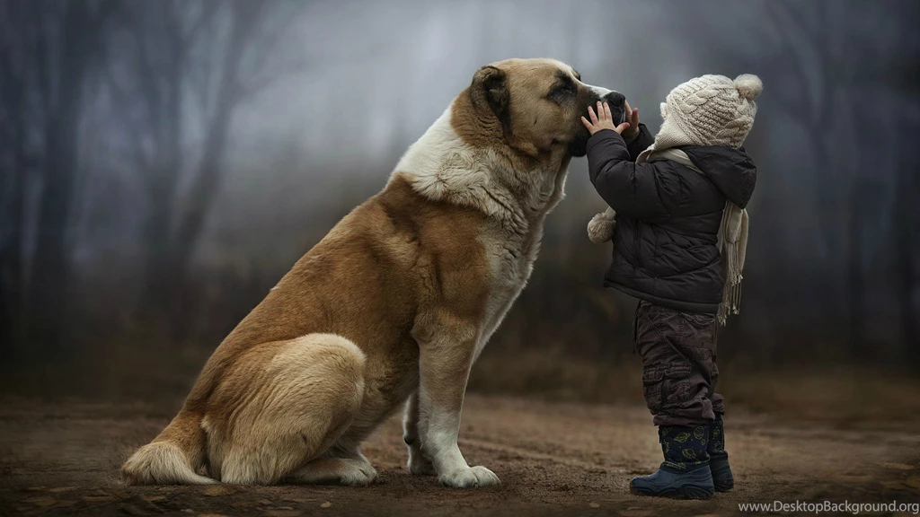 A Child With A Big Dog Wallpapers And Images   Wallpapers ...