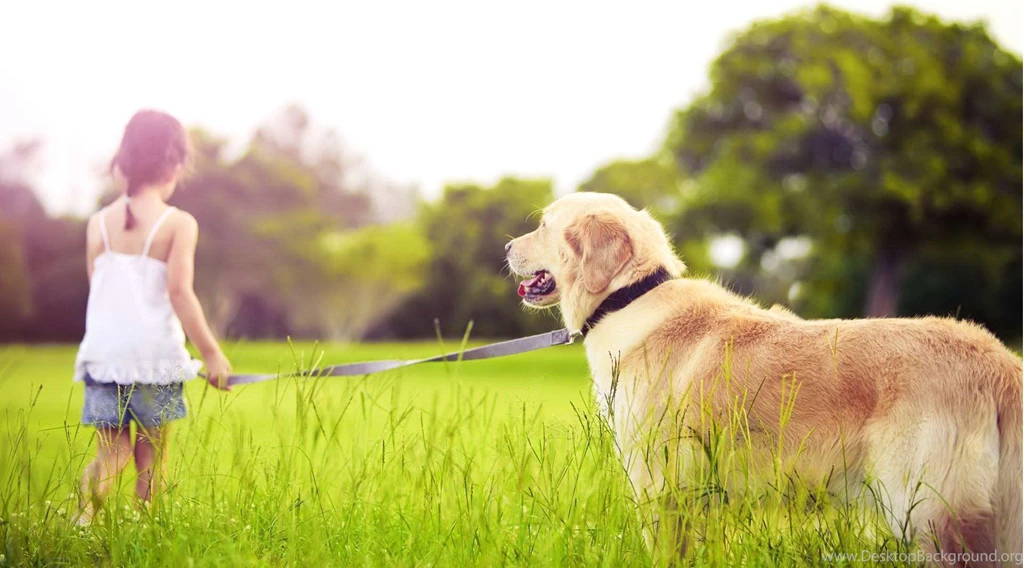 Small Girl With Big Dog Wallpapers All Good Dog Food Co.