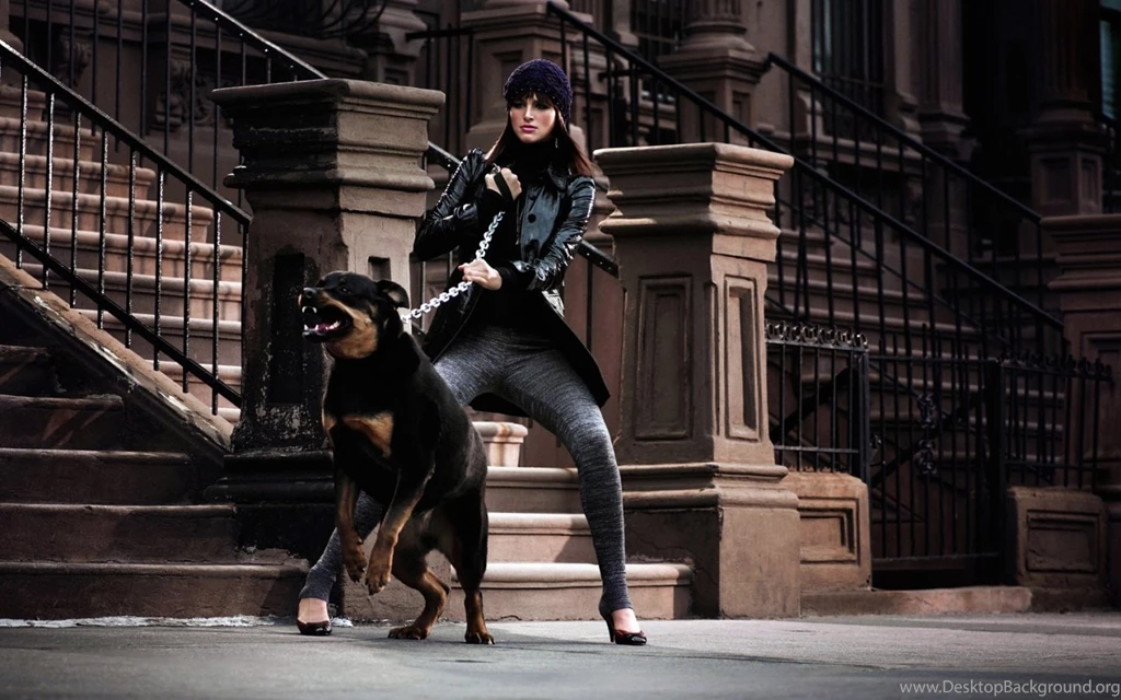 1440x900 Animal Instinct Wallpaper, Music And Dance Wallpapers