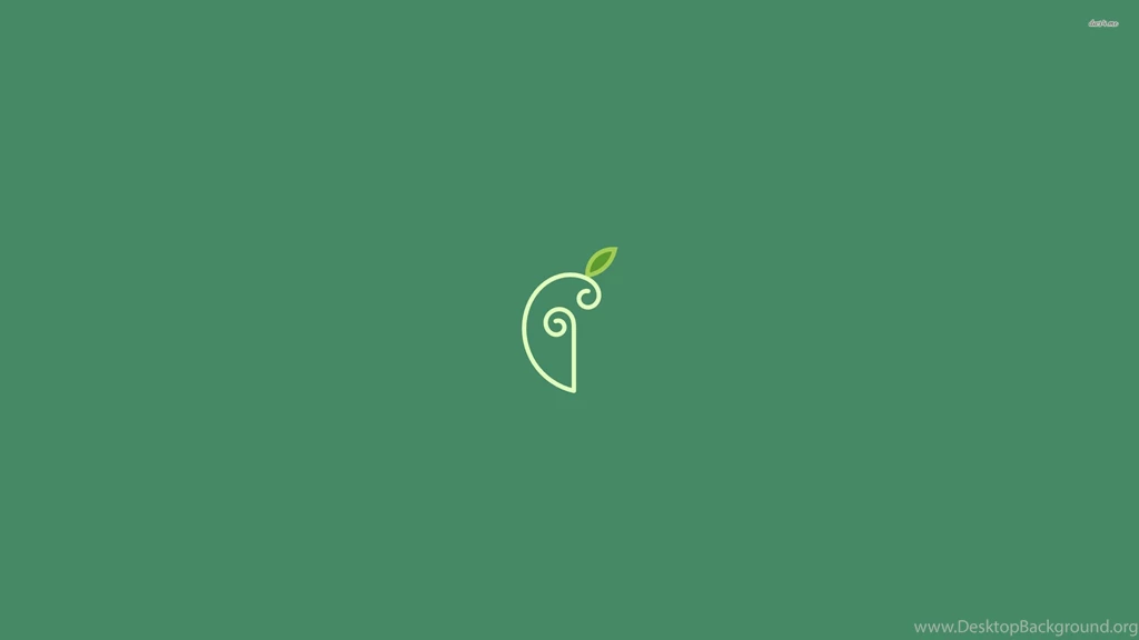 Interesting Plant Wallpapers Minimalistic Wallpapers