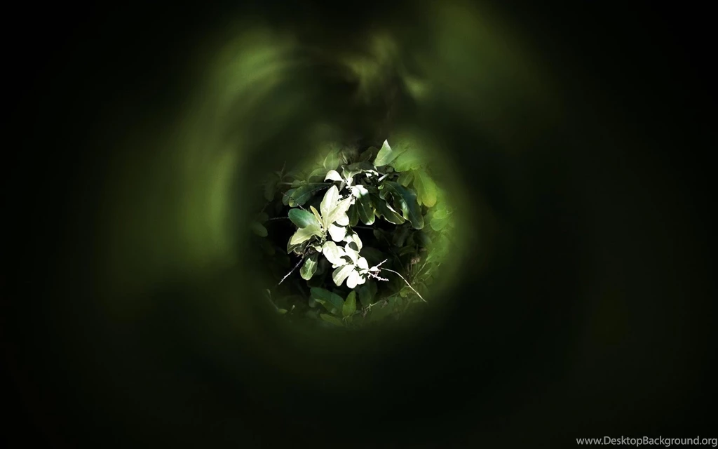 Pic New Posts: Wallpapers To PC