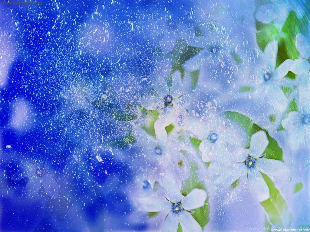 Natural Flowers Wallpapers HD Wallpapers Lovely