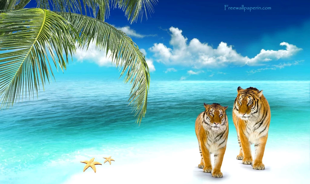 Private Beach Wallpapers Download   Free Wallpapers In