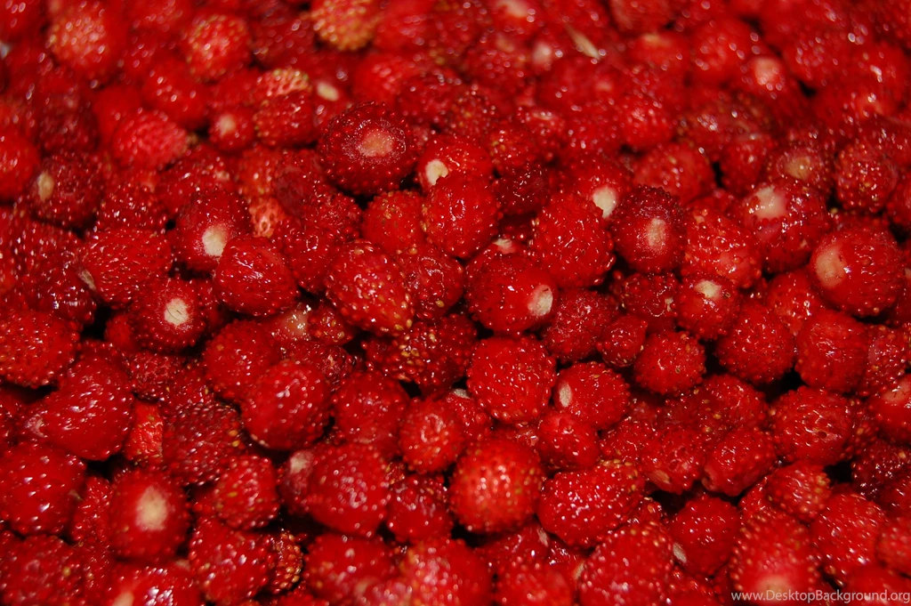 Berry Wallpapers HotFreeWallpaper.com