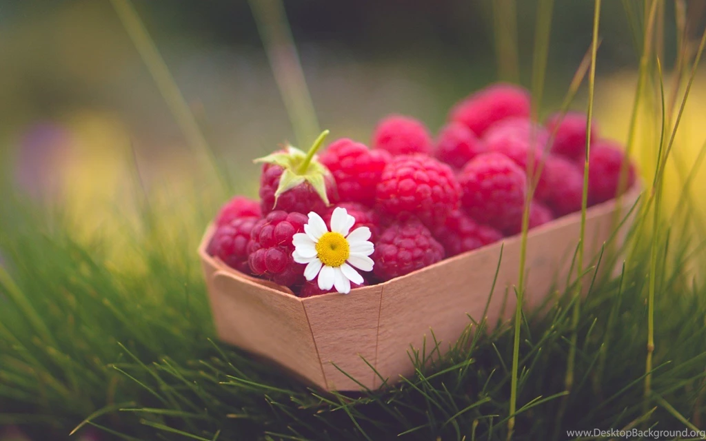 Food Raspberries Berry Daisy Flower Grass Nature Hd Wallpapers ...
