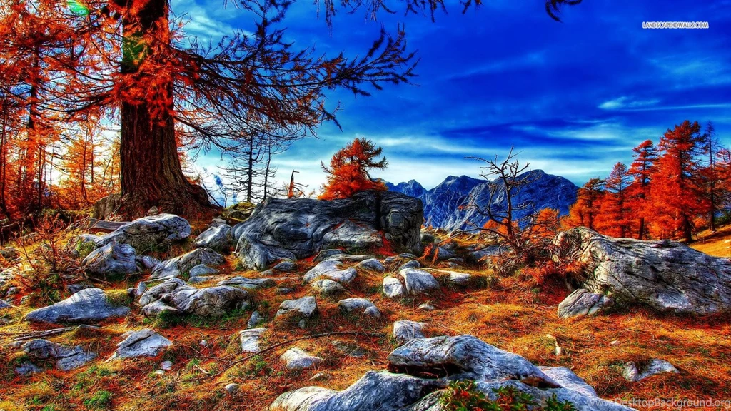 Beautiful Blue Sky Over The Autumn Scenery Wallpapers
