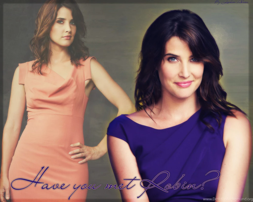 Himym Cast How I Met Your Mother Wallpapers (22354955) Fanpop