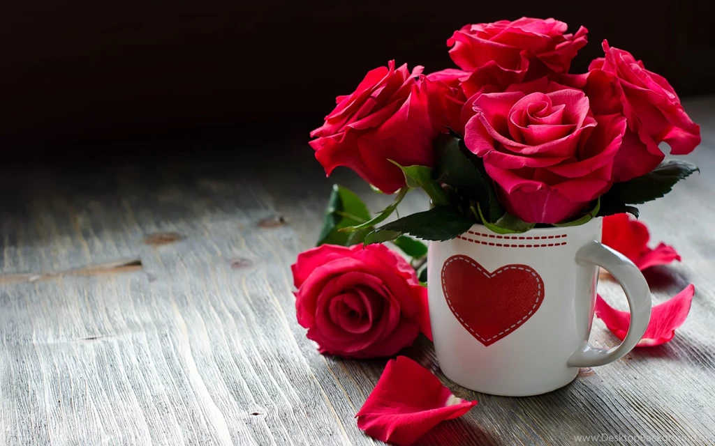 Rose Diseases Red Flowers Wallpapers For Desktop & Mobile