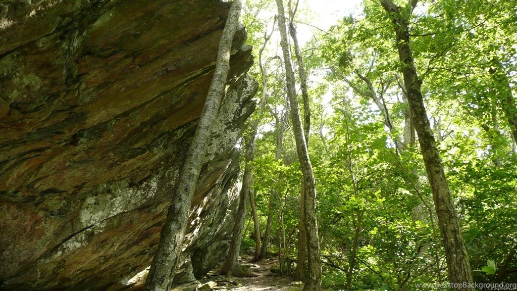MLeWallpapers.com Frazier Rock Wall
