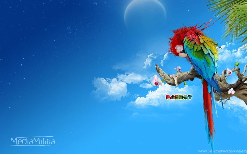 Creative Wallpapers For Desktop