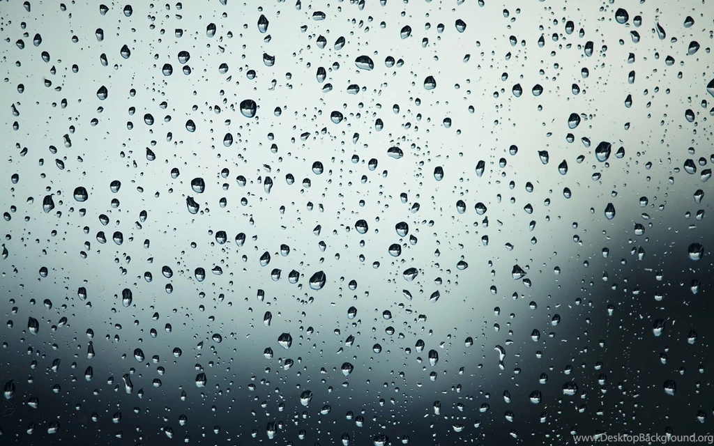 Rain Drops On The Window Wallpapers