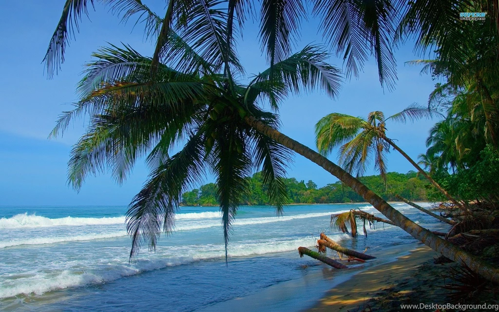 Punta Uva Beach Wallpapers Beach Wallpapers
