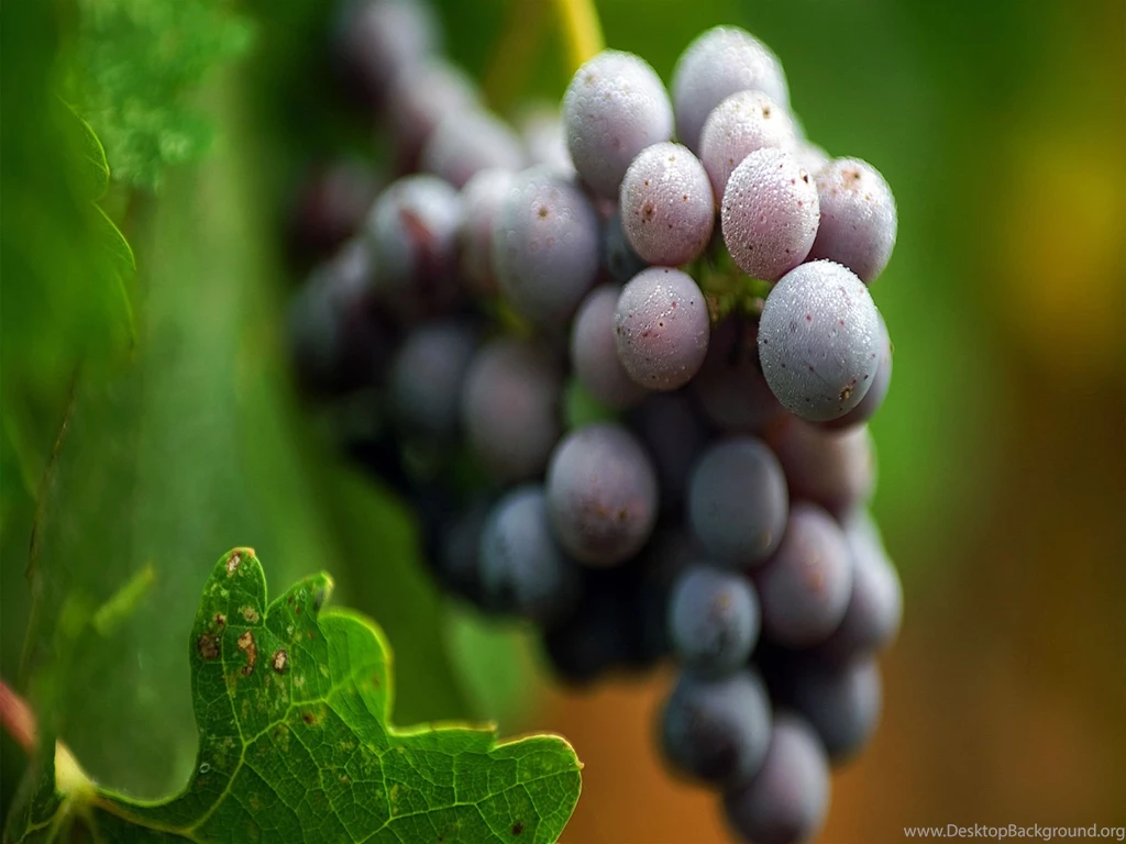 Cacho De Uva 4K HD Wallpapers