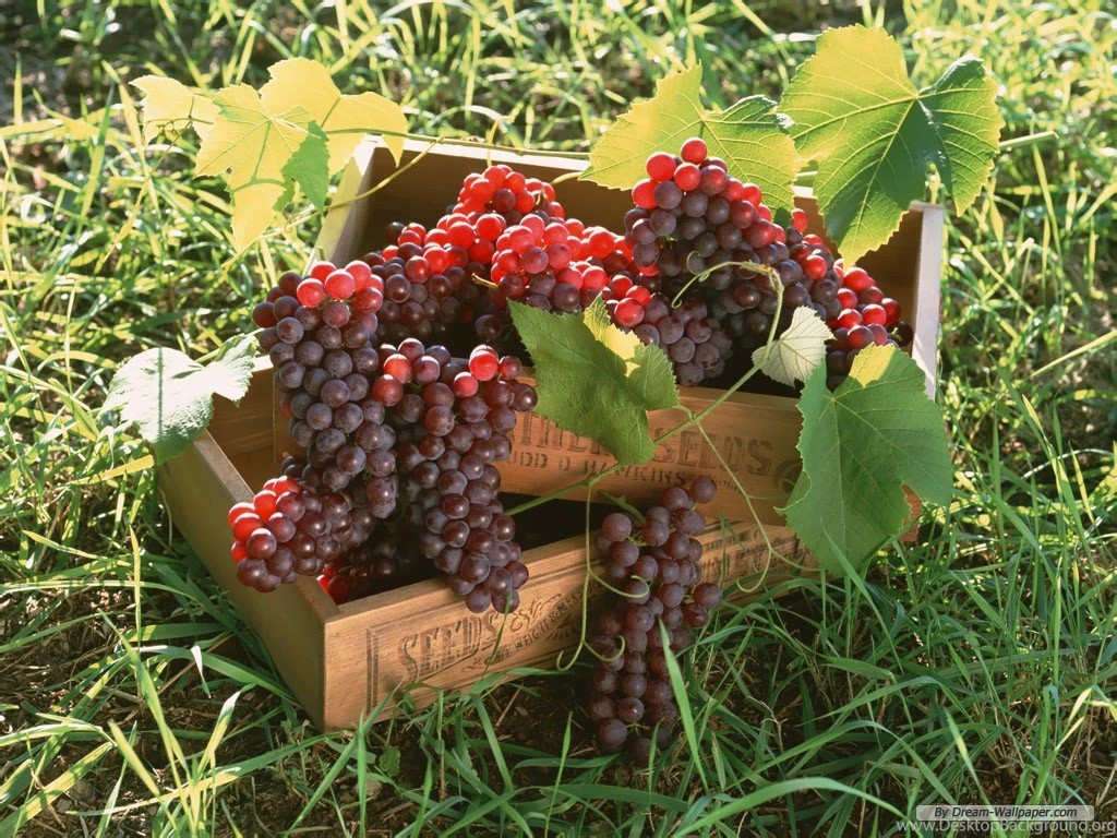 Caixas De Uva 4K HD Wallpapers