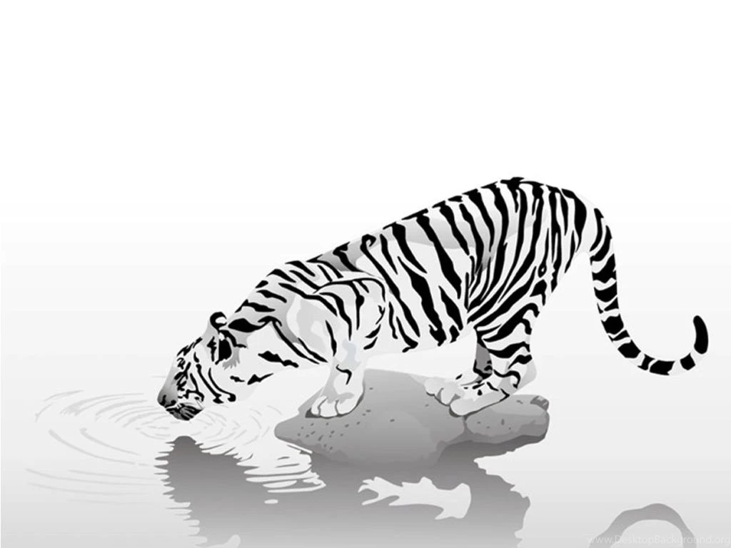 WhiteTiger