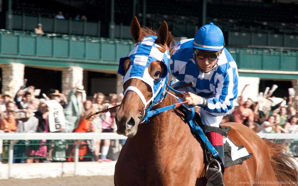 Secretariat HD Wallpapers (1)