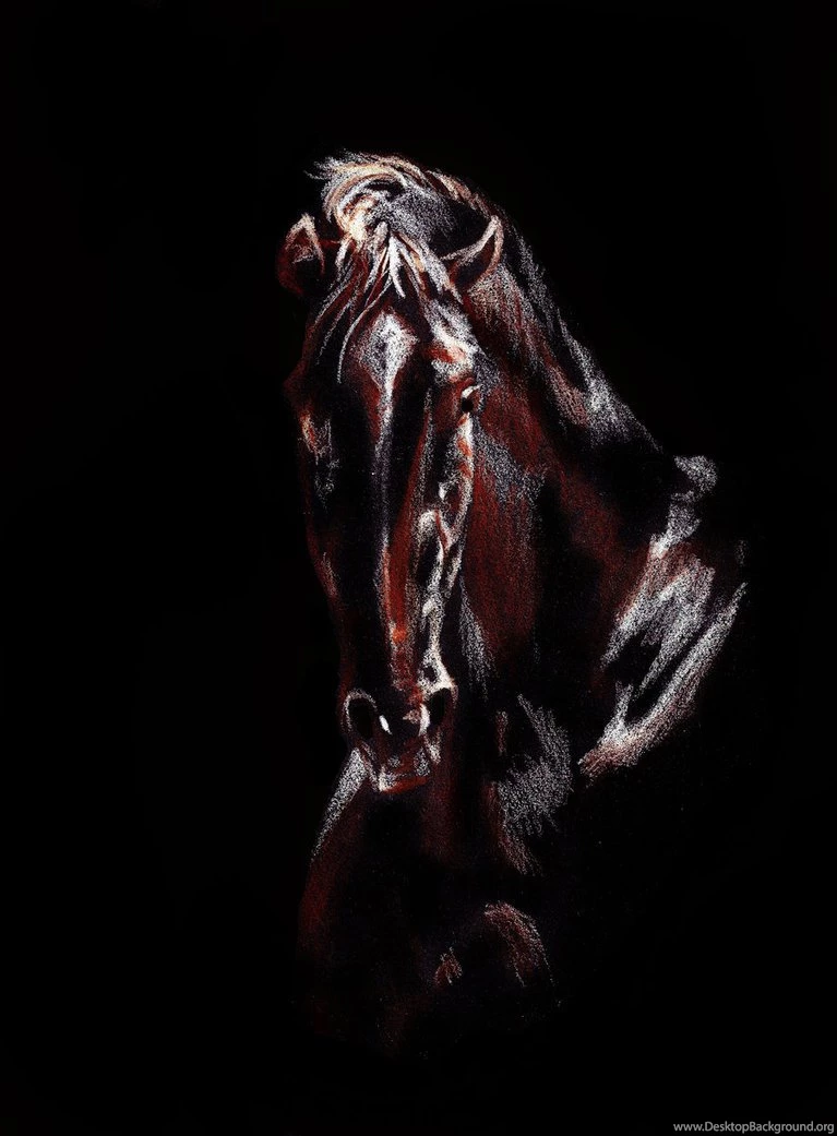 Secretariat By ElusiveDreams07 On DeviantArt