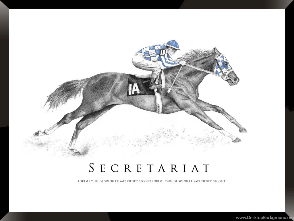 Secretariat Drawing