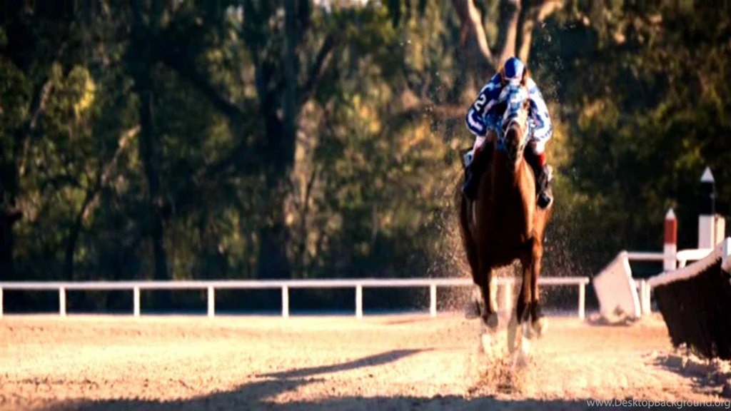 Secretariat; The Michael Jordan Of Racehorses YouTube