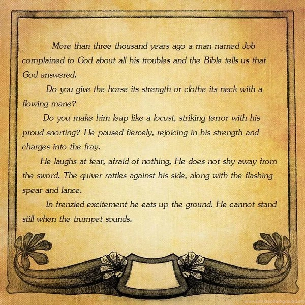 Secretariat Quotes. QuotesGram