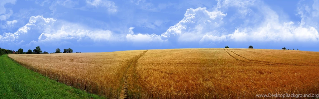 3360×1050 Desktop Wallpapers   Chaotic.signal