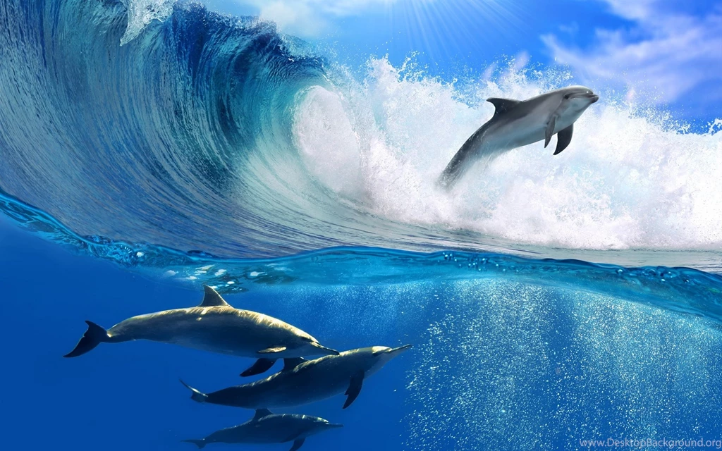 20 Best Photos Of Wave Wall Paper Big Ocean Waves Desktop, Ocean ...
