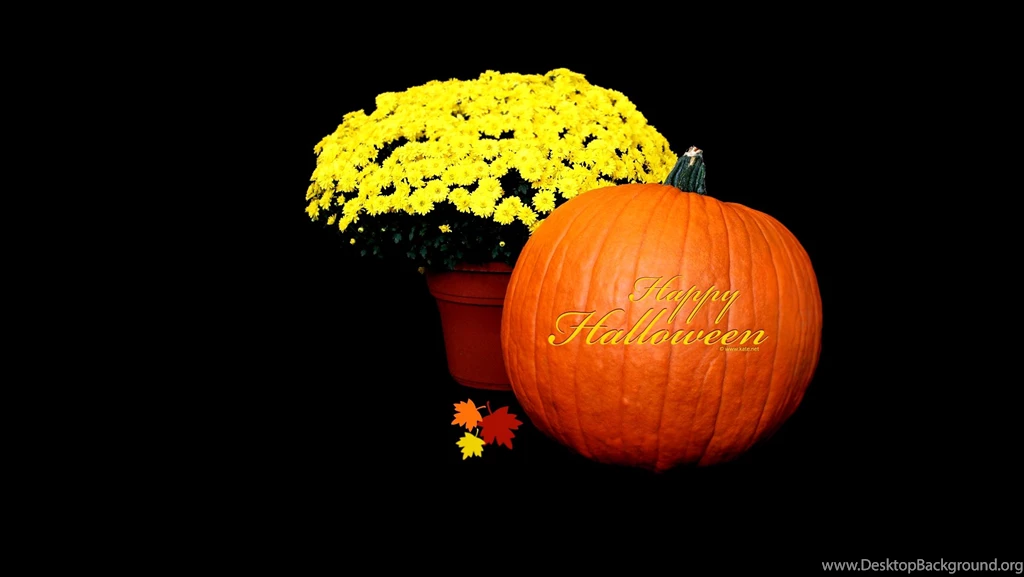 Free Halloween Computer Wallpapers   4 Items