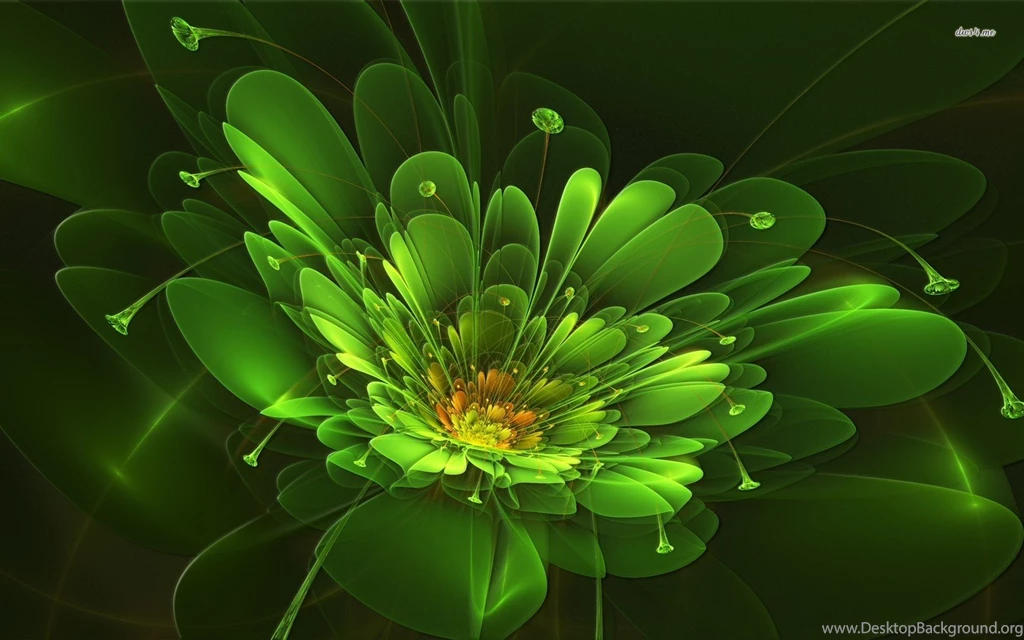 Green Glowing Flower Wallpapers Digital Art Wallpapers