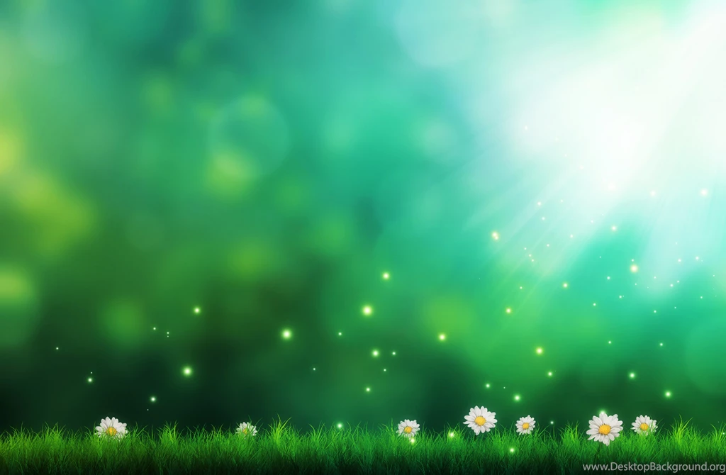 Light & Flowers Computer Wallpapers, Desktop Backgrounds ...